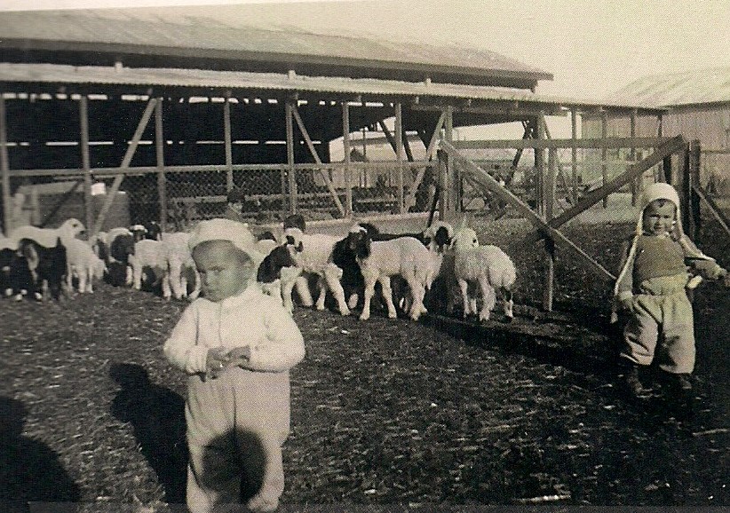 ניר בדיר בקיבוץ אשדות יעקב