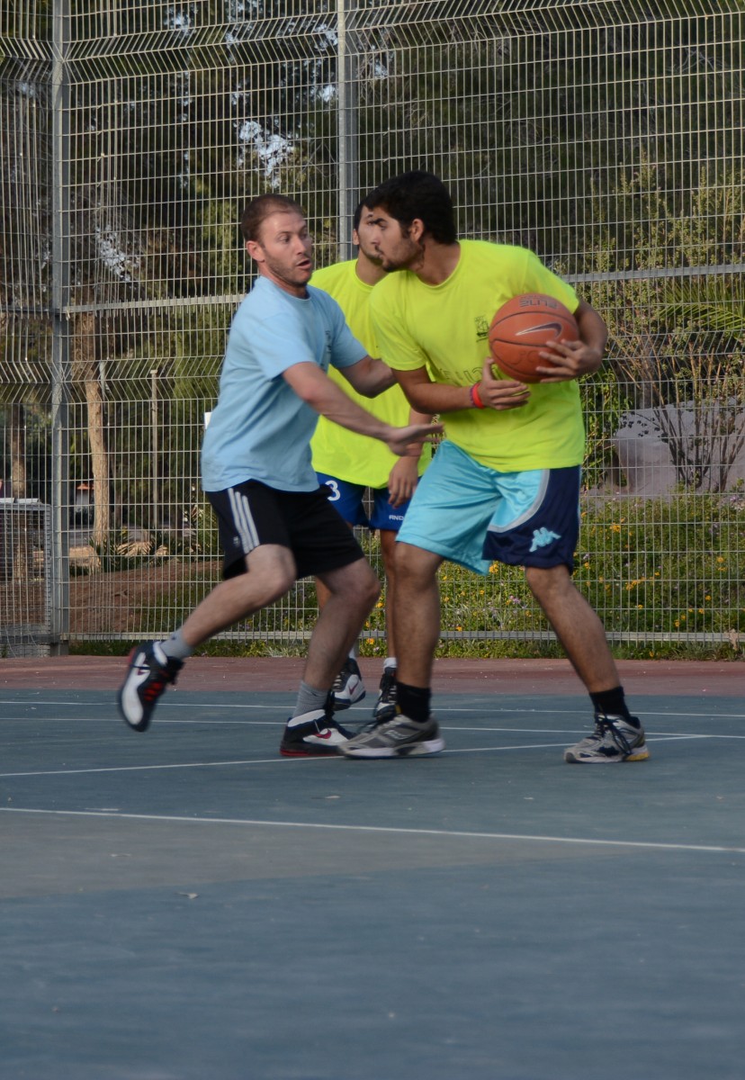 צילום: טלי דג