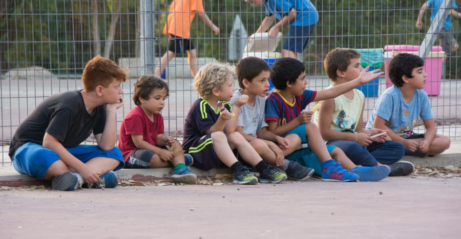 צילום: טלי דג