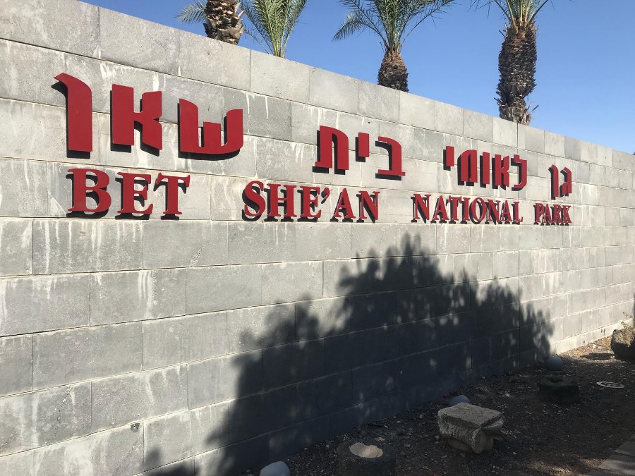 צילום: אפרת מצ׳יקווה