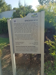 ברוכים הבאים