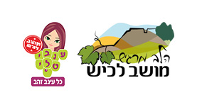 לוגו לכיש